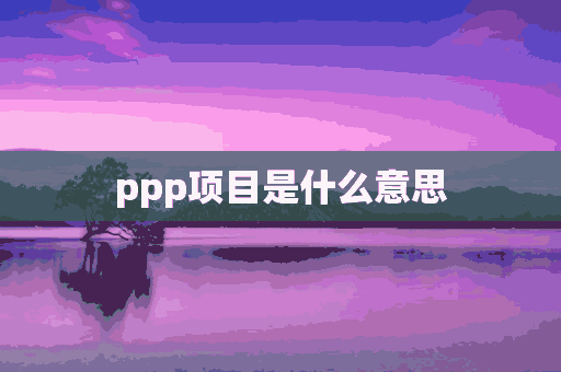 ppp项目是什么意思(ppp项目是什么意思解释一下)